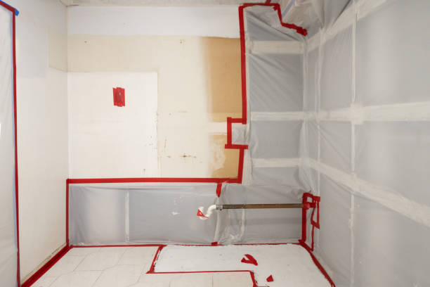 Mold Remediation for Rental Properties in Toledo, OH